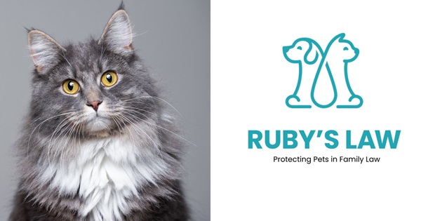 Ruby's Law - A Campaign for Domestic Abuse Law Reform